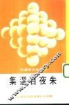 朱夜自选集 封面