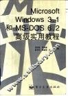 Microsoft Windows 3.1和MS-DOS6.2高级实用教程 封面