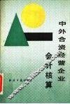 中外合资经营企业会计核算 封面