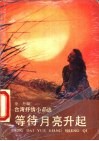 等待月亮升起  台湾抒情小品选 封面