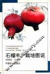 石榴丰产栽培图说 封面