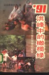 '91洪峰中的橄榄绿  全国公安干警抗灾抢险纪实 封面