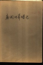 新闻内幕曝光 封面