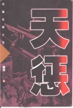 天惩  长篇反腐小说 封面