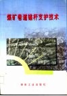 煤矿巷道锚杆支护技术 封面