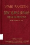 煤矿瓦斯灾害防治理论战略研讨 封面