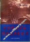 中国镍钴矿山现代化开采技术 封面