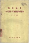 煤焦油中古马隆茚树脂的制取 封面