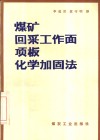 煤矿回采工作面顶板化学加固法 封面