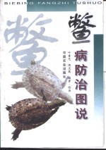 鳖病防治图说 封面