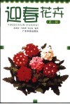 迎春花卉  第1辑 封面