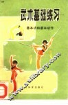武术基础练习  基本功和基本动作 封面