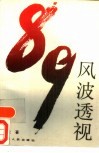 89风波透视 封面