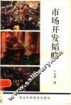 市场开发韬略 封面