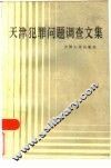 天津市犯罪问题调查文集 封面