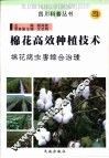 棉花高效种植技术 封面
