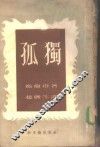 孤独  小说 封面