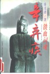 铁血词魂辛弃疾 封面