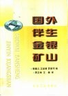 国外伴生金银矿山 封面