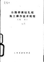 公路桥梁钻孔桩施工操作技术规程  试行 封面