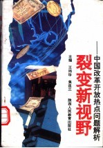 裂变新视野-中国改革开放热点问题解析 封面