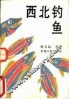 西北钓鱼 封面