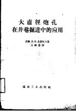 大直径炮孔在井巷掘进中的应用 封面
