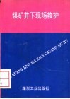 煤矿井下现场救护 封面