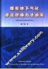 煤炭地下气化渗流燃烧方法研究 封面