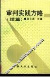 审判实践方略  续篇 封面