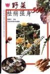 野菜祛病强身500方 封面