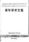 青年学术文集  中国煤炭学会第三届青年科技学术研讨会暨中国科协第二届青年学术年会卫星会议 封面