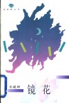 镜花 封面