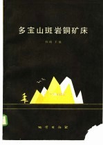 多宝山斑岩铜矿床 封面