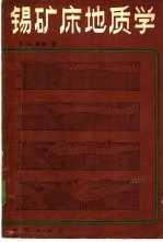 锡矿床地质学 封面