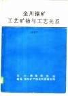 金川镍矿工艺矿物与工艺关系 封面