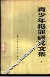 青少年犯罪研究文集  下 封面