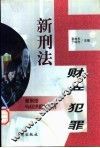 新刑法与财产犯罪 封面