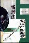 新刑法与知识产权犯罪 封面