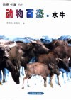 动物百态  水牛 封面