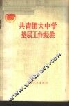 共青团大中学基层工作经验 封面