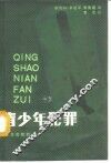 青少年犯罪 封面
