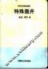 特殊凿井 封面