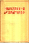 中国青年为实现第一个五年计划而斗争的任务  1955年9月20日中国新民主主义青年团建设积极分子大会的报告 封面