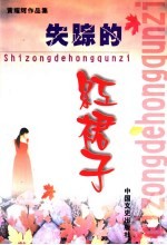 失踪的红裙子  黄耀辉作品集 封面