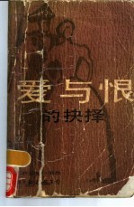 爱与恨的抉择 封面