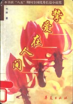 挚爱在人间 封面