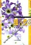 组合盆花 封面