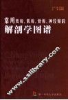 常用皮瓣.肌瓣.骨瓣.神经瓣的解剖学图谱 封面