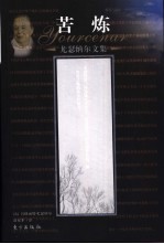 苦炼 封面